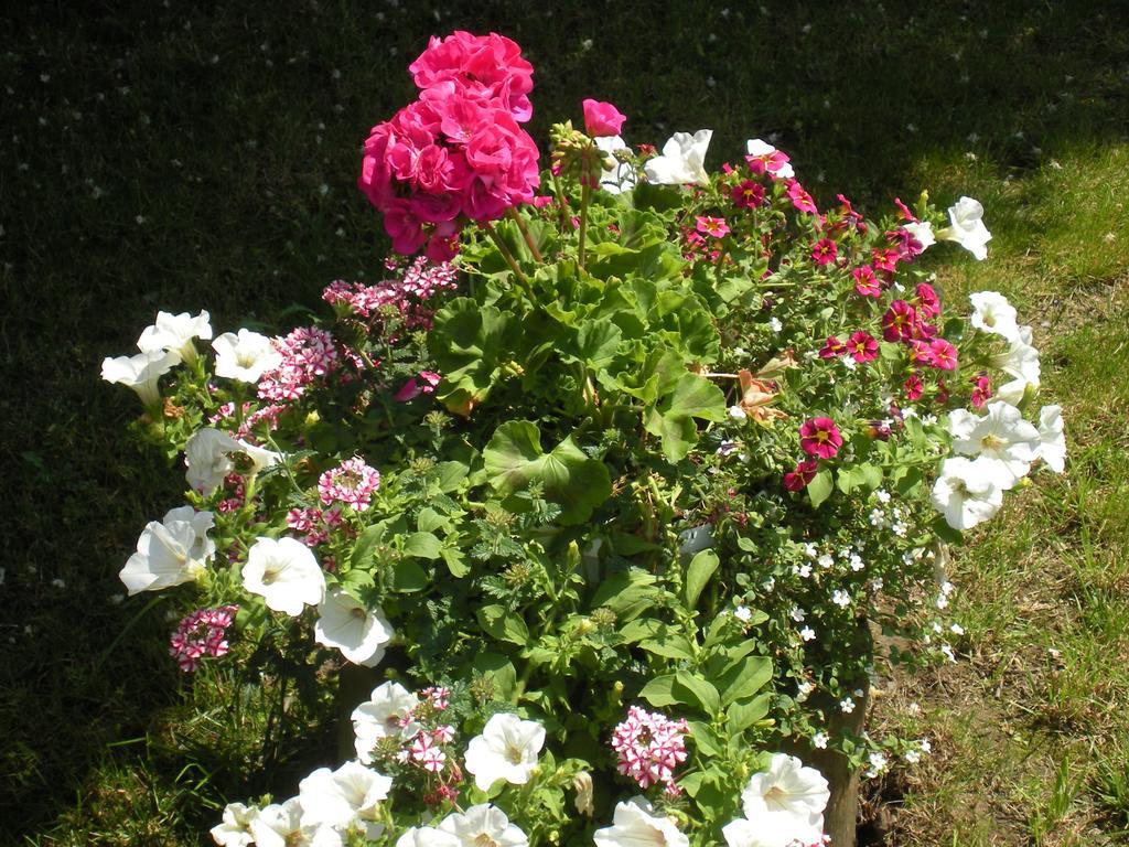 B&B Al Calcandola Sarzana Exterior photo